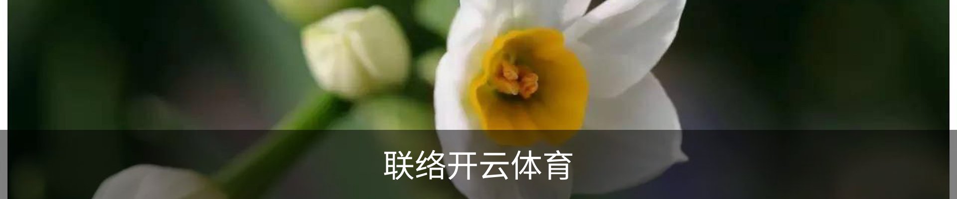 联络开云体育